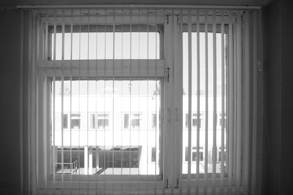 Enhance Your Home with Stylish and Functional Window Blinds