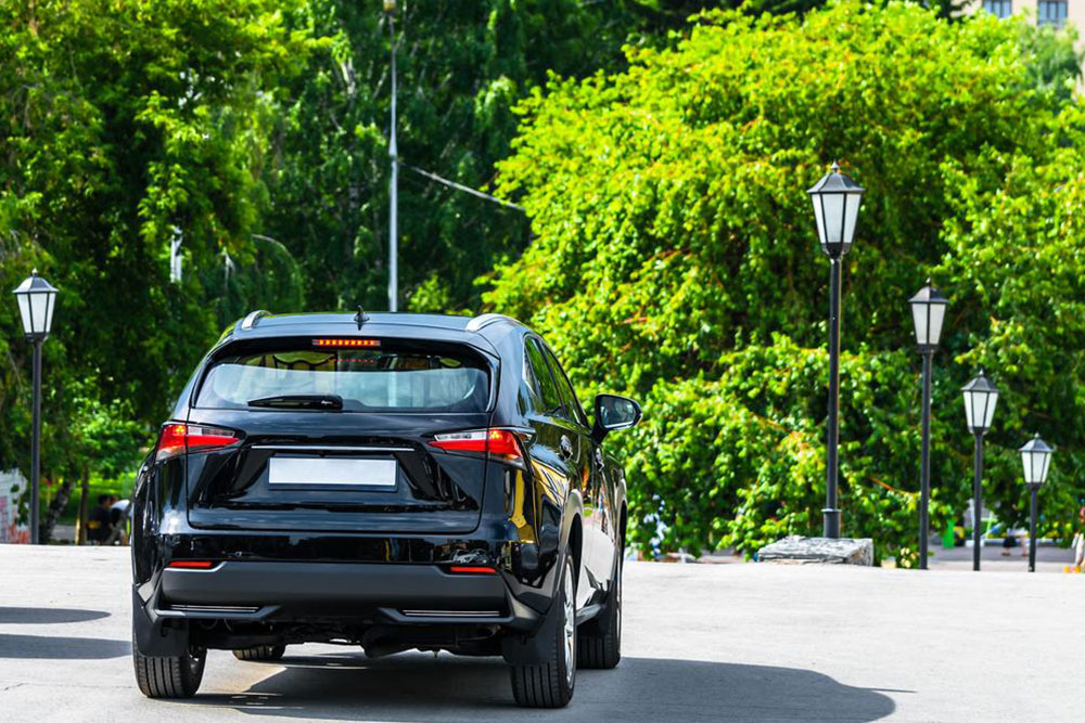 Top New Pickups and SUVs of 2016: The Leading Models