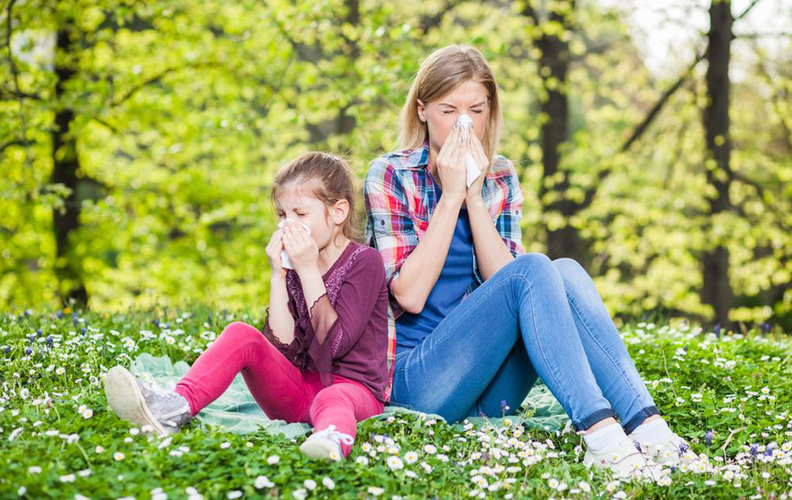 Essential Guide to Understanding and Managing Pollen Allergies