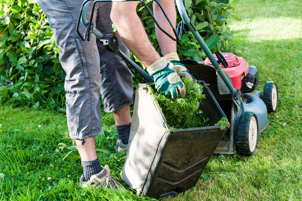 Top 4 Lawn Care Management Tools for Growing Your Business
