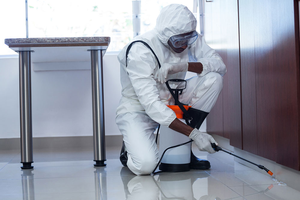 Top 3 Leading Pest Control Service Providers