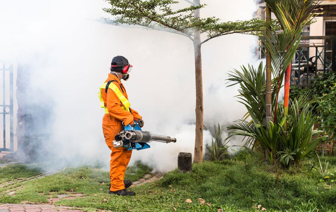 Effective Strategies for Managing Mosquitoes in Your Backyard