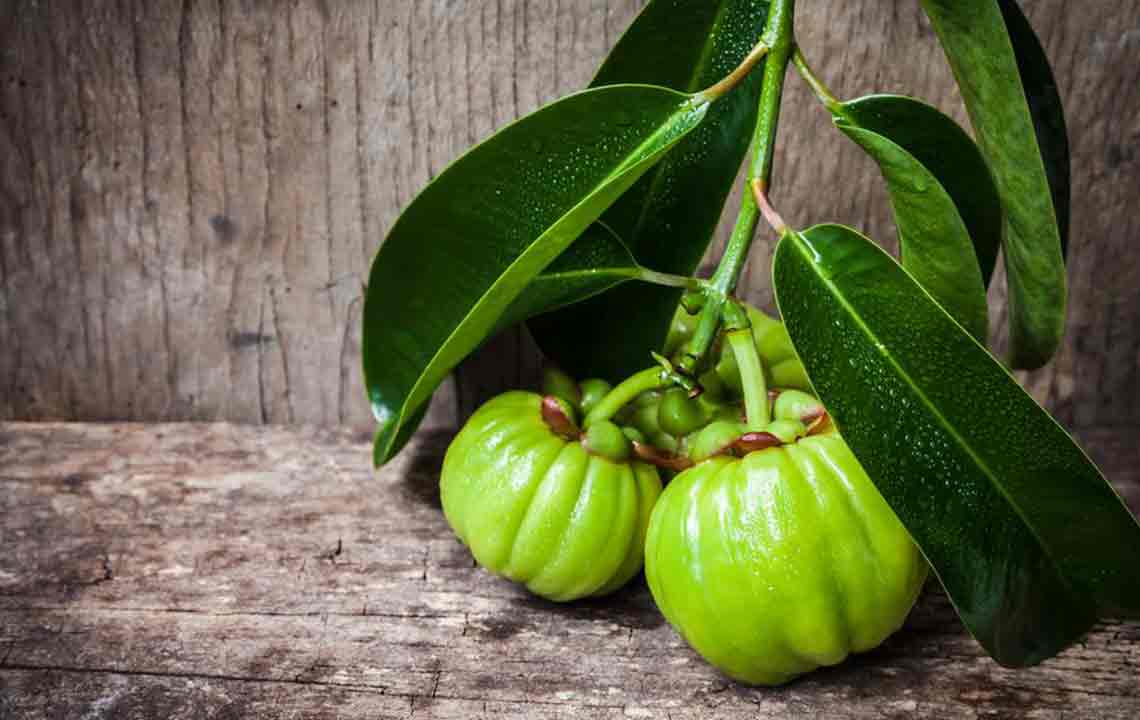 Essential Information About Garcinia Cambogia for Health and Weight Management