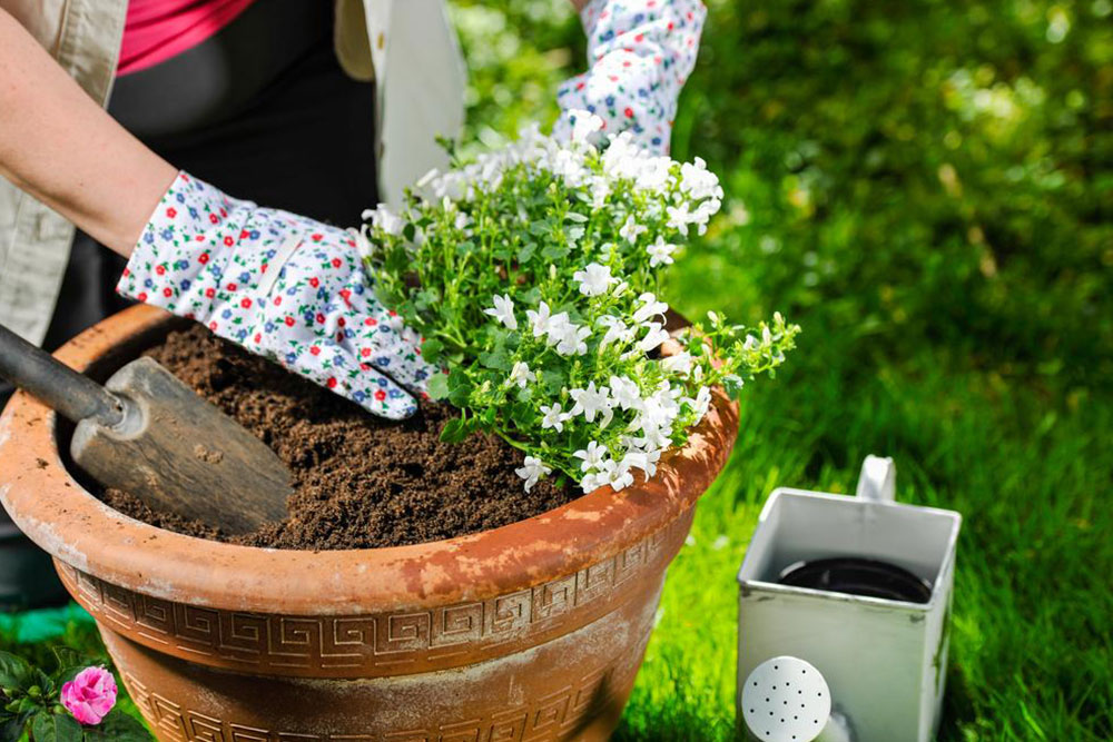 DIY Large Garden Planter: Step-by-Step Guide