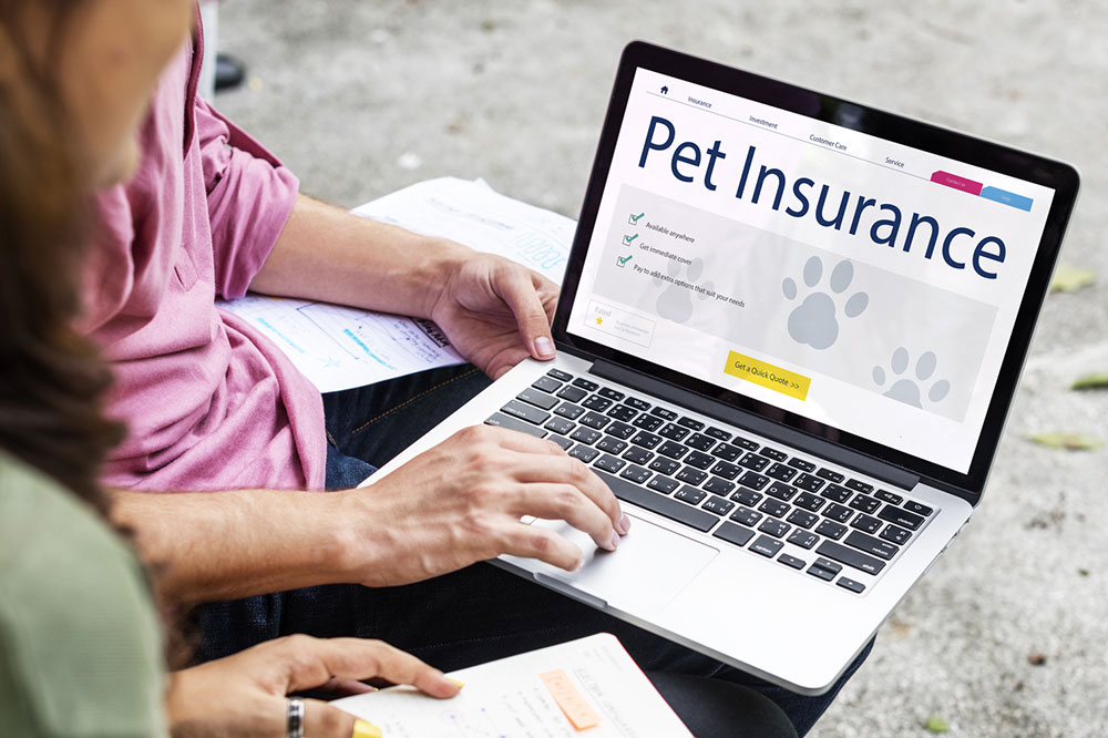 Key Strategies for Selecting the Ideal Pet Insurance Policy