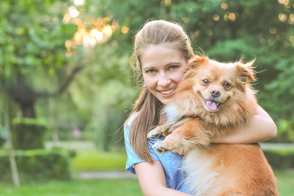 Essential Guidelines for Responsible Dog Adoption