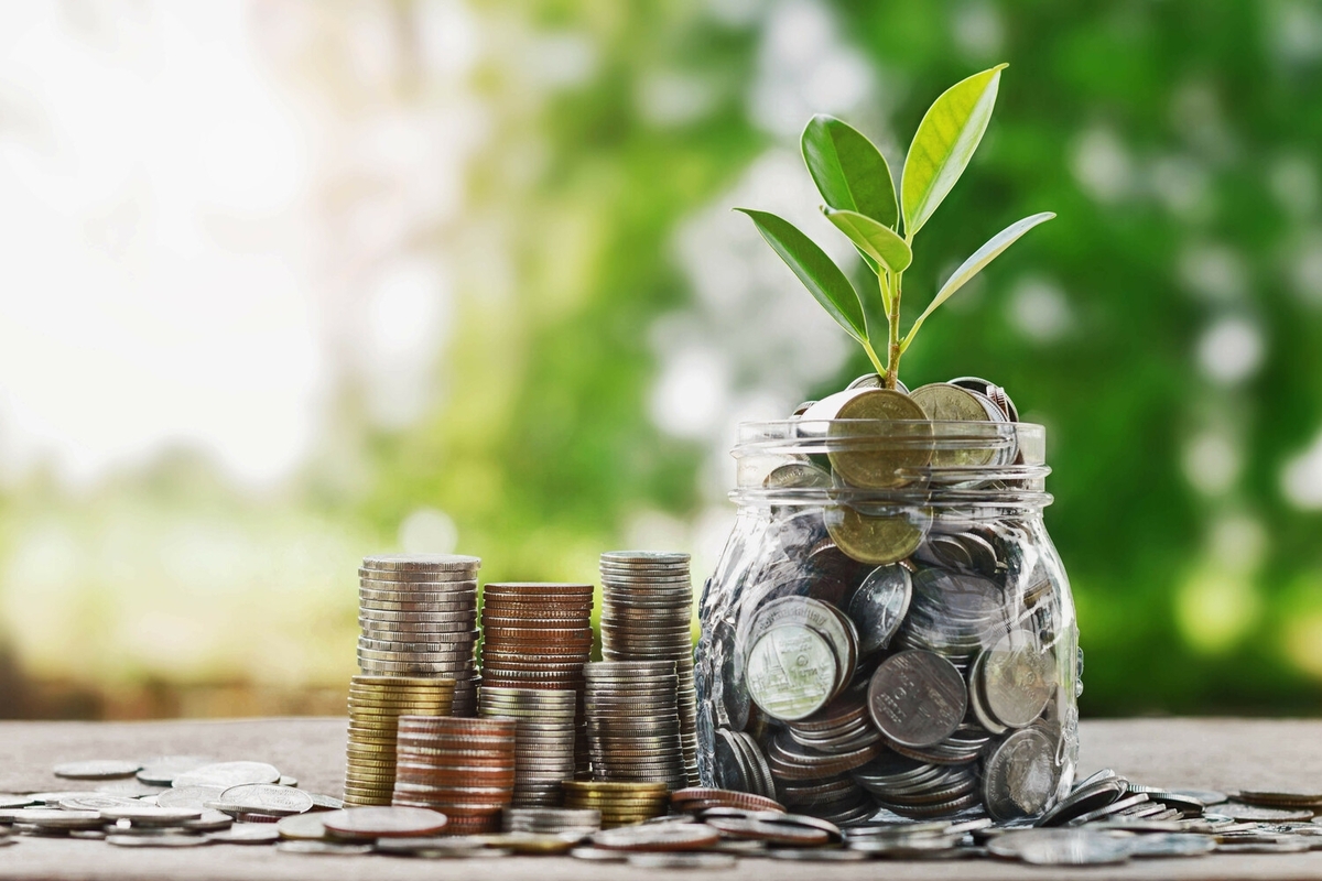 Top Fixed Income Investment Funds in Mexico for Stable Growth