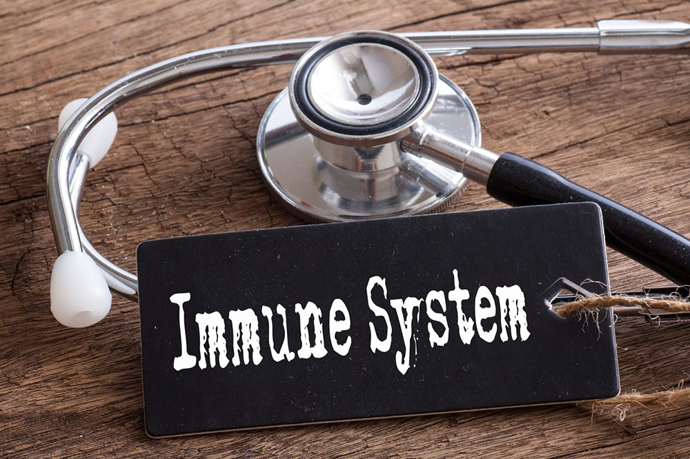 Comprehensive Guide to the Human Immune System: Functions, Types, and How to Strengthen It
