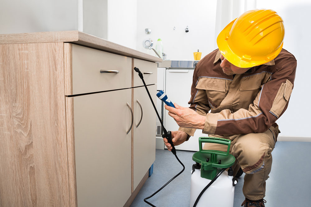 Top Pest Control Management Software: Advantages and Selection Tips