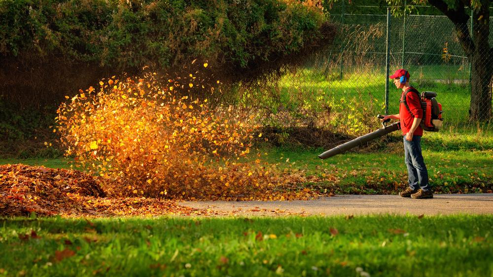 Choosing the Perfect Gas-Powered Leaf Blower: A Complete Guide
