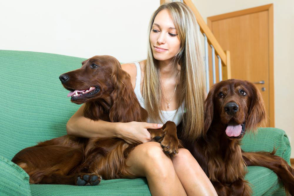 The Origin and Rise of Pet-Friendly Dormitories