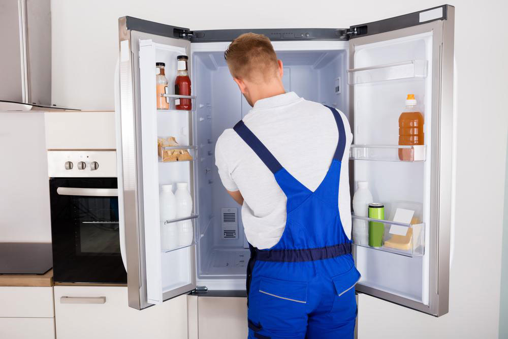Everything You Need to Know About Hamilton Beach Kitchen Appliances