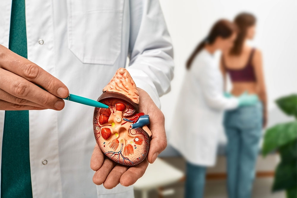 Comprehensive Guide to Kidney Transplantation: Types, Procedure, and Recovery