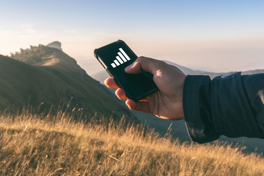 Comprehensive Guide to Assurance Wireless Mobile Phones