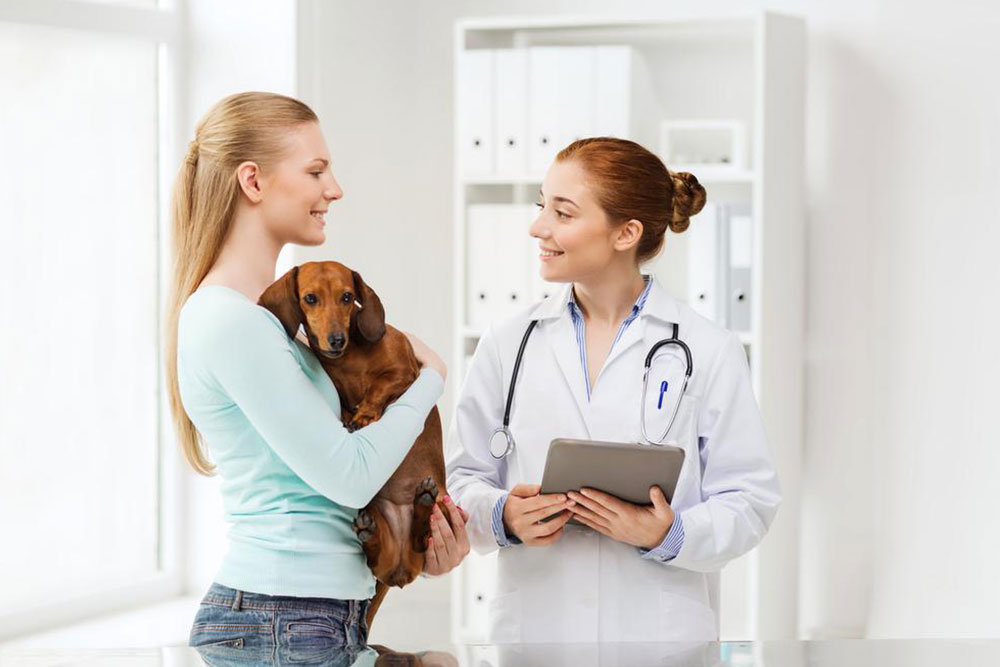 Understanding Dog Allergies: Symptoms, Causes, and Prevention