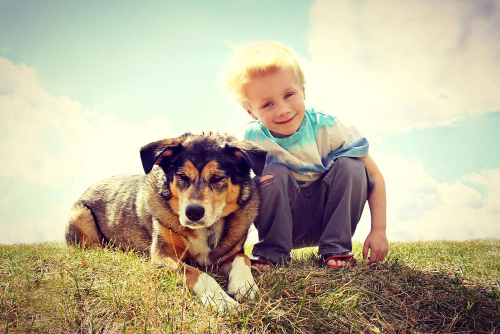 Healthy Homemade Diet Tips for Your German Shepherd Puppy