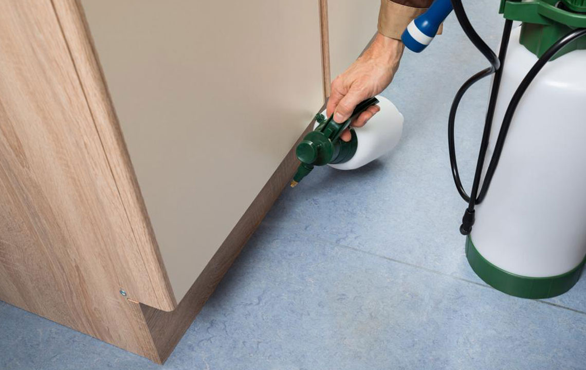 Effective Strategies for Rodent Prevention and Control
