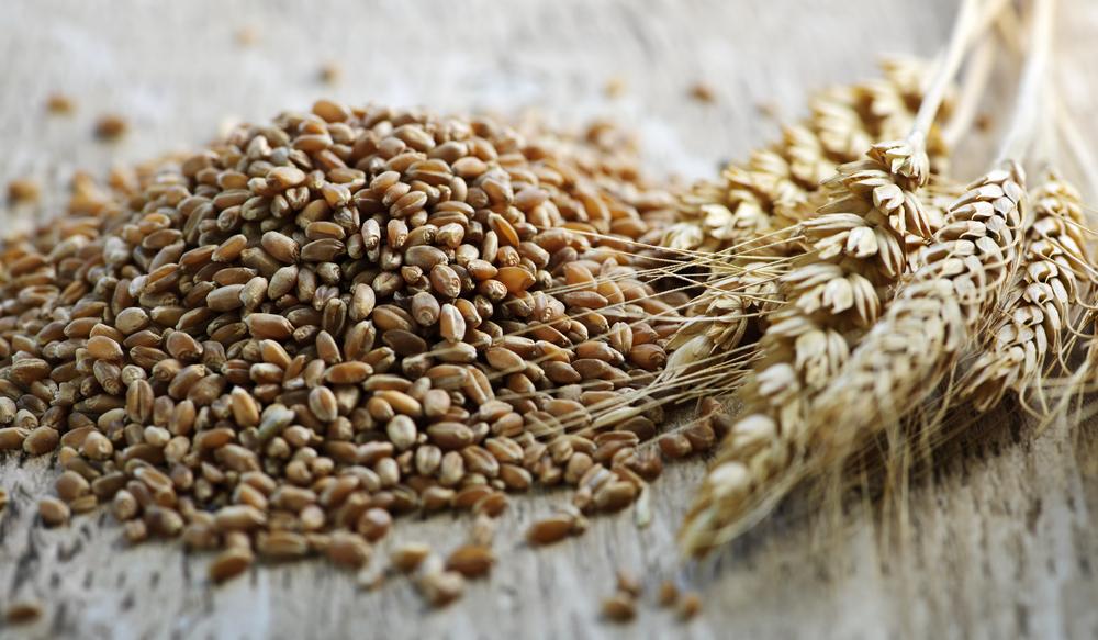 Discover the Health Benefits of Incorporating Wheat Berries into Your Nutrition Plan