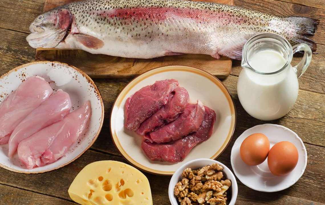 Essential High-Protein Foods to Include in Your Nutrition Plan
