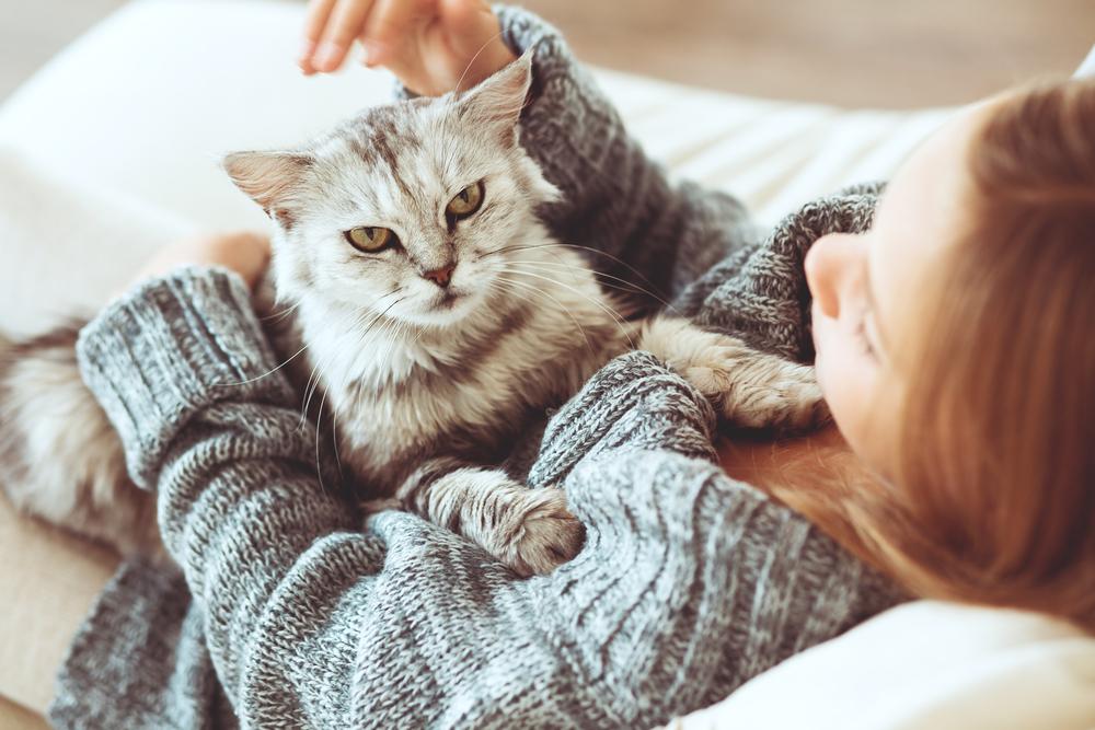 Essential Pet Accessories Every Cat Owner Should Have