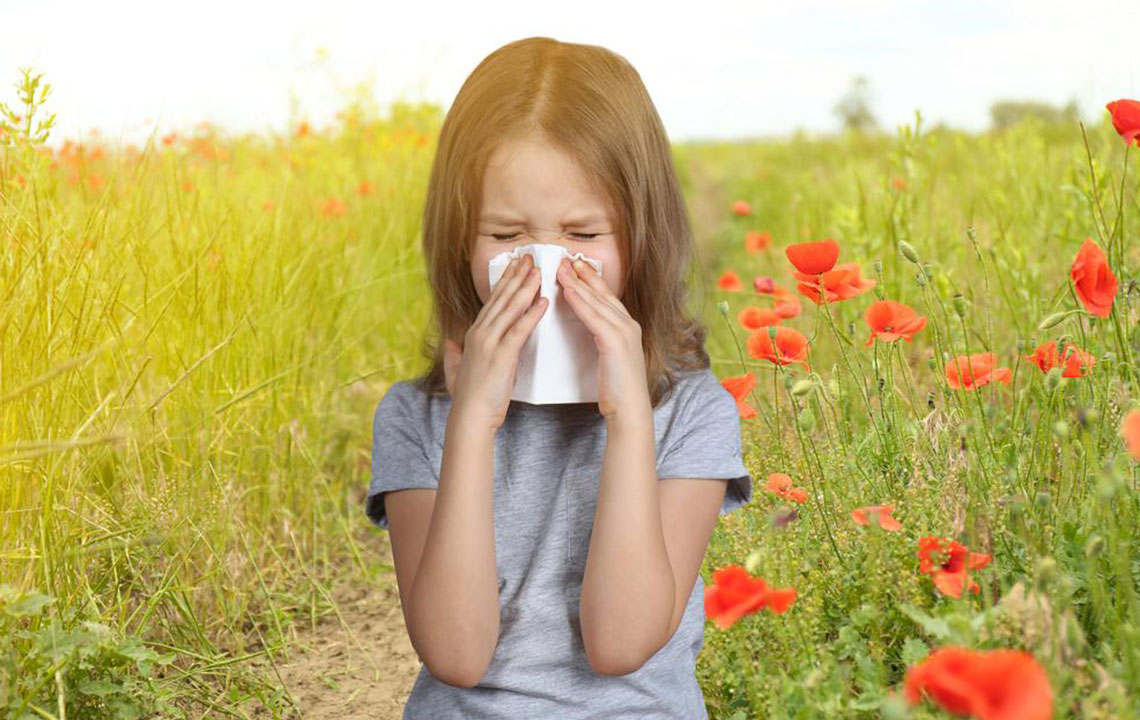Effective Remedies and Medications for Seasonal Allergy Relief