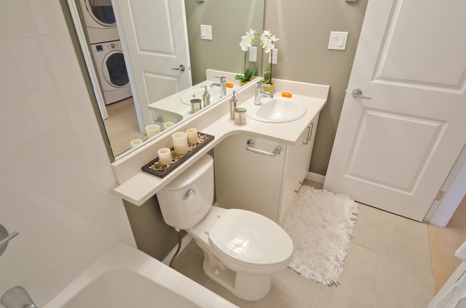 Guide to Choosing a Toilet Stain Remover