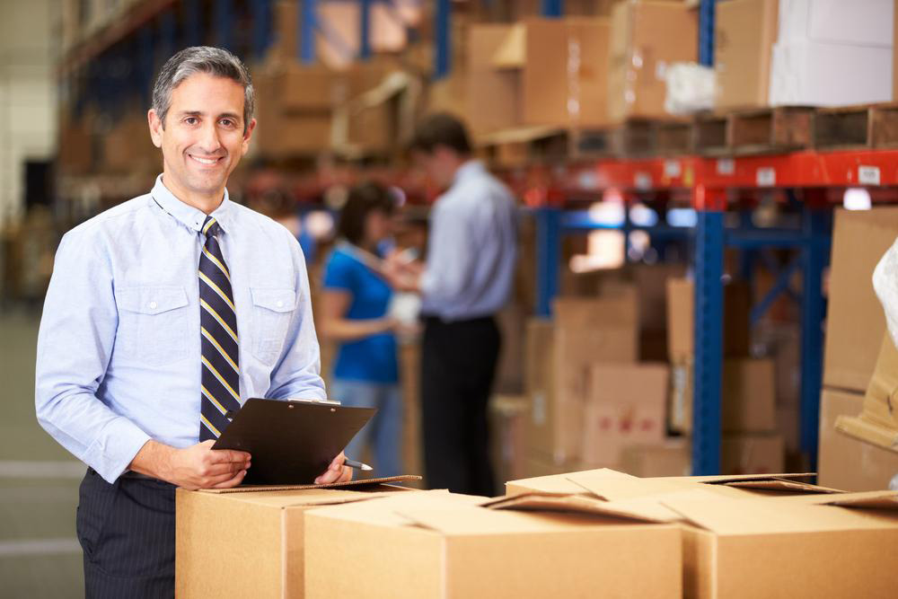 Empowering Small Businesses: Engines of Job Creation and Innovation