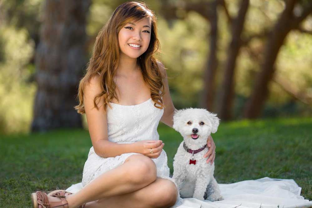 Guide to Maltipoo Dogs: Characteristics and Care Tips