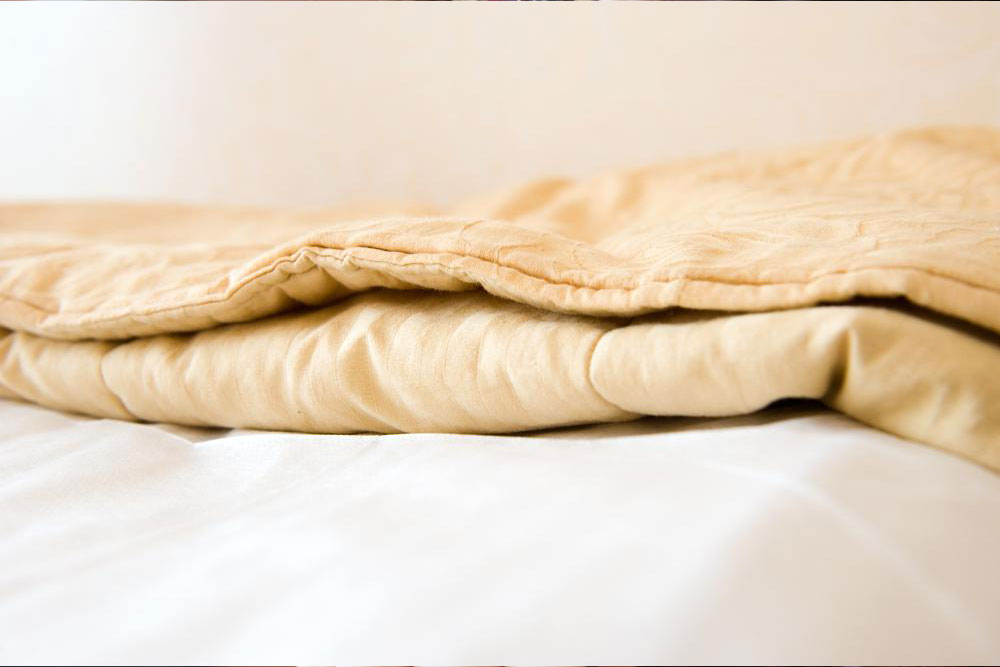 Top 3 Electric Blankets Available Online for Cozy Comfort and Warmth