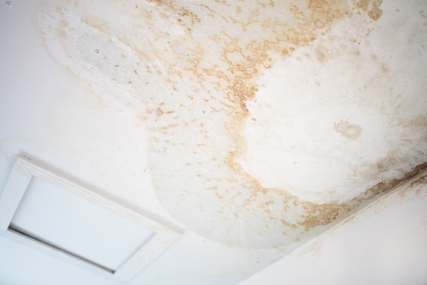 Senior-Focused Water Leak Repair: Costs, Services, and How to Choose the Right Team