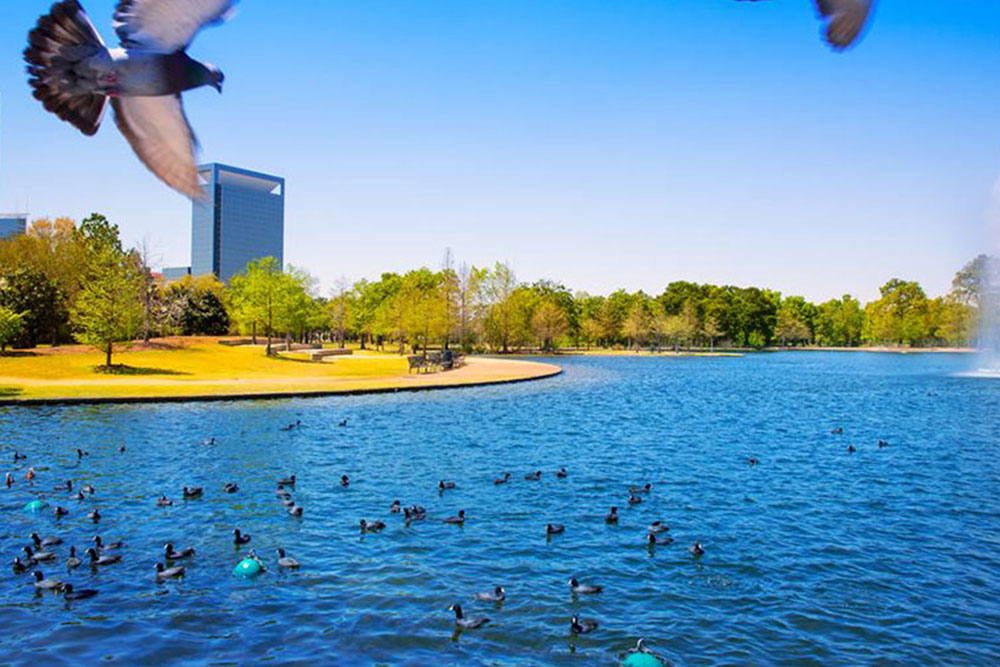 Discover the Fishing Hotspots in Texas During Spring and Summer