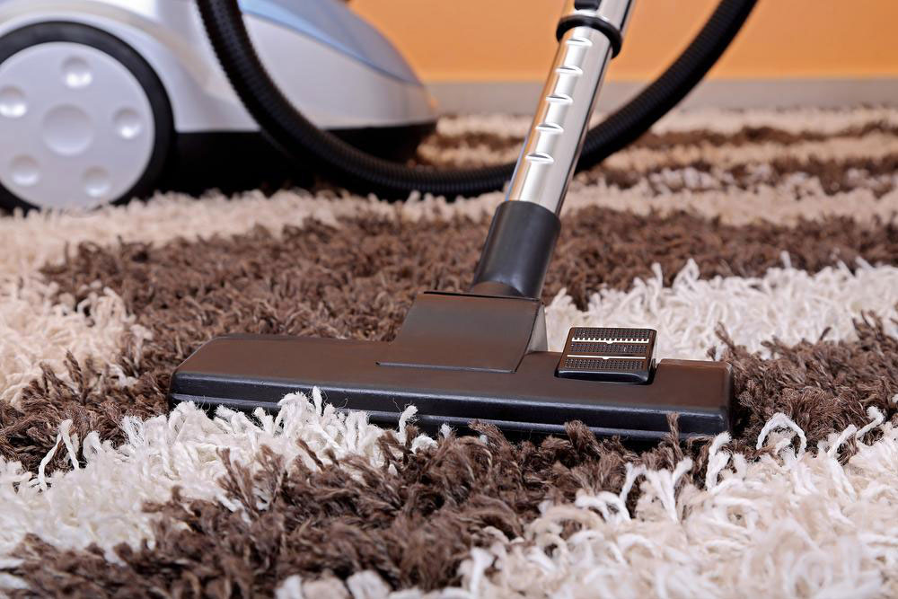 A Guide to Different Types of Carpets and Their Uses