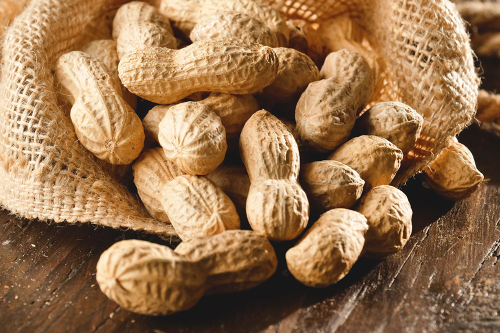 Comprehensive Guide to Common Food Allergies and Recognizing Their Symptoms