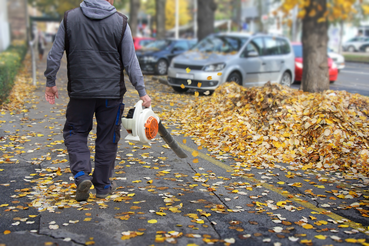 Top Leaf Blowers of 2018: Your Ultimate Guide