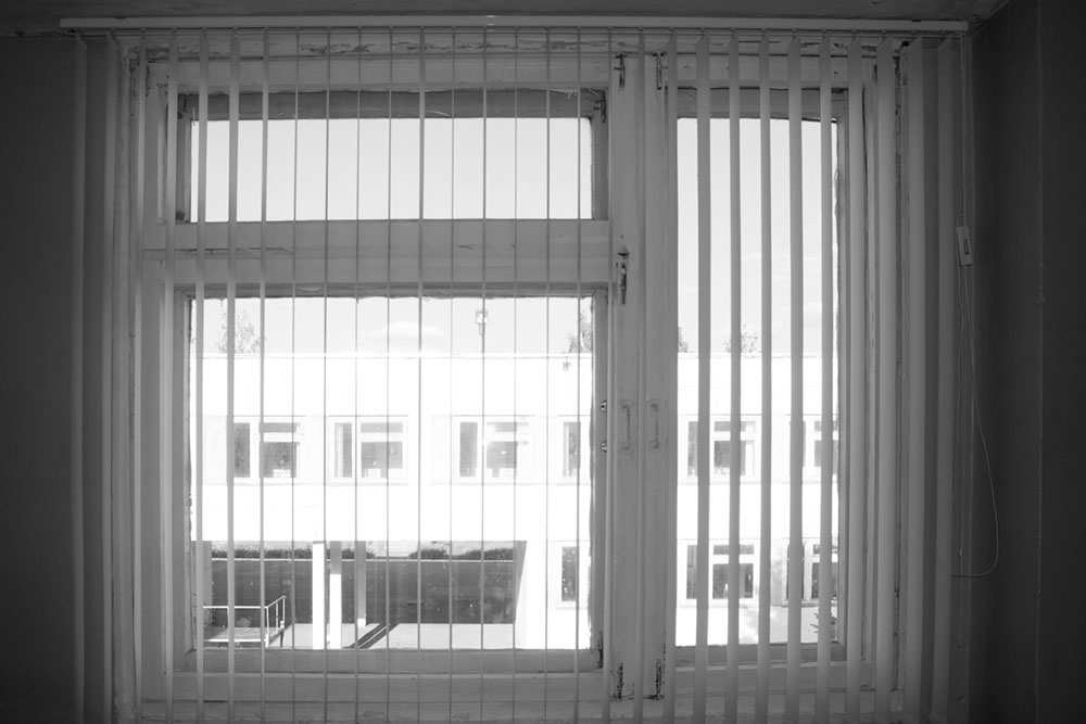 Comprehensive Guide to Cellular Window Blinds