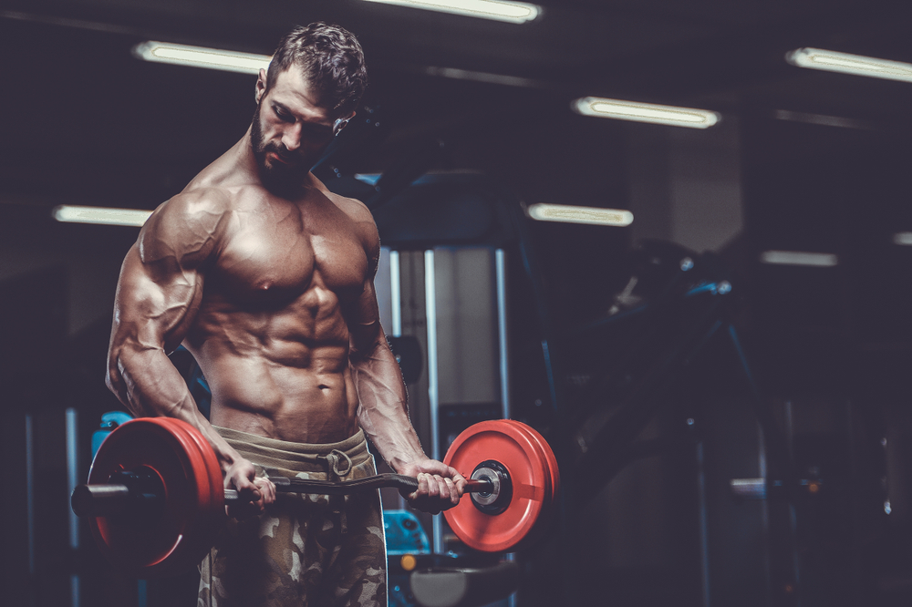 Essential Beginner's Guide to Building Muscle Effectively