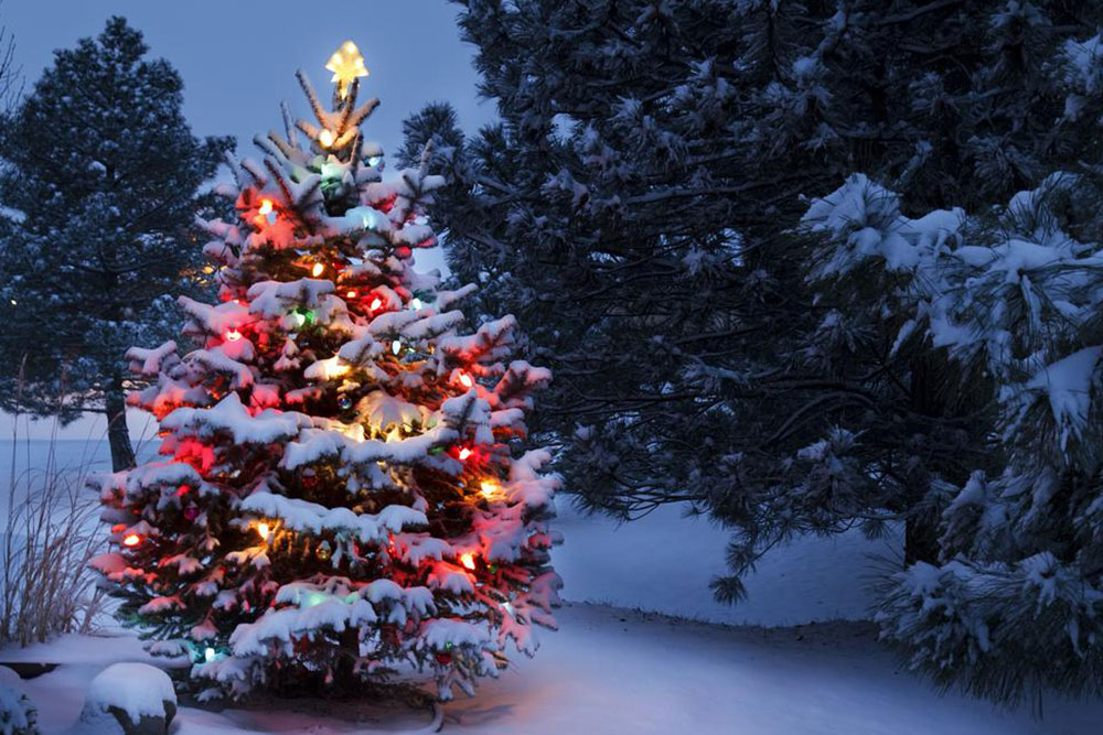 Artificial Christmas Trees: A Modern Holiday Keepsake