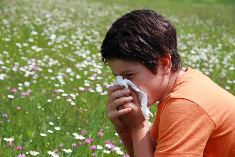 Identifiable Symptoms of Pollen Allergies and Prevention Tips