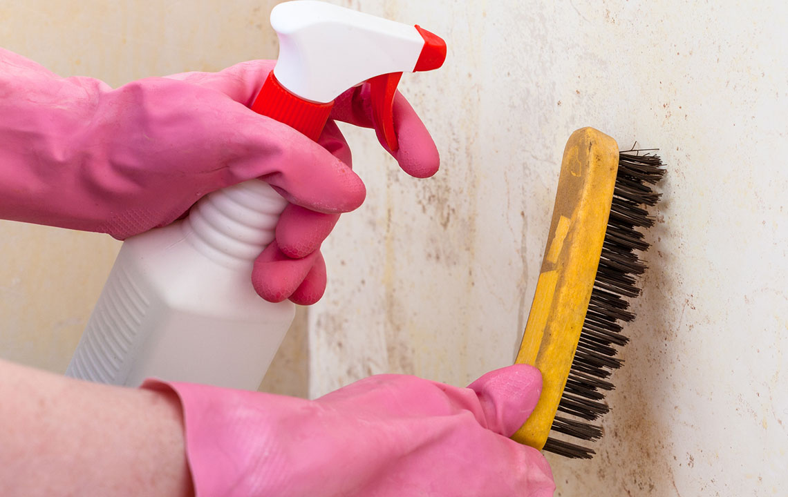 Effective Natural Methods to Eliminate Mold