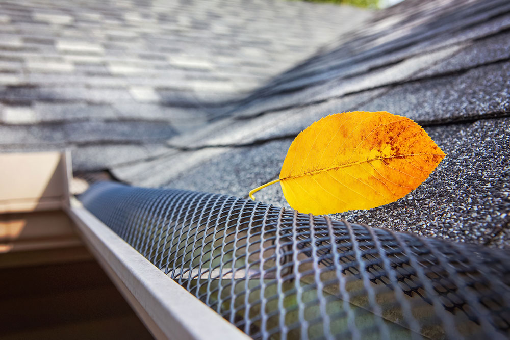 Ultimate Guide to Gutter Protection: Types, Pricing, and Installation Tips