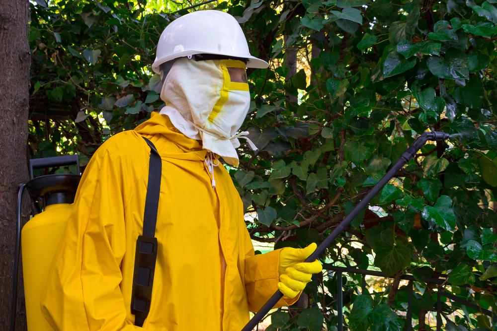 Prominent Local Pest Control Companies You Can Trust