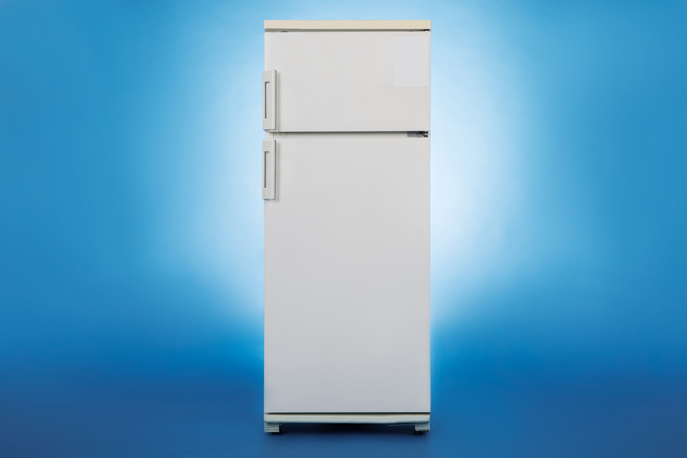 A Complete Guide to LG Refrigerators: Features and Options