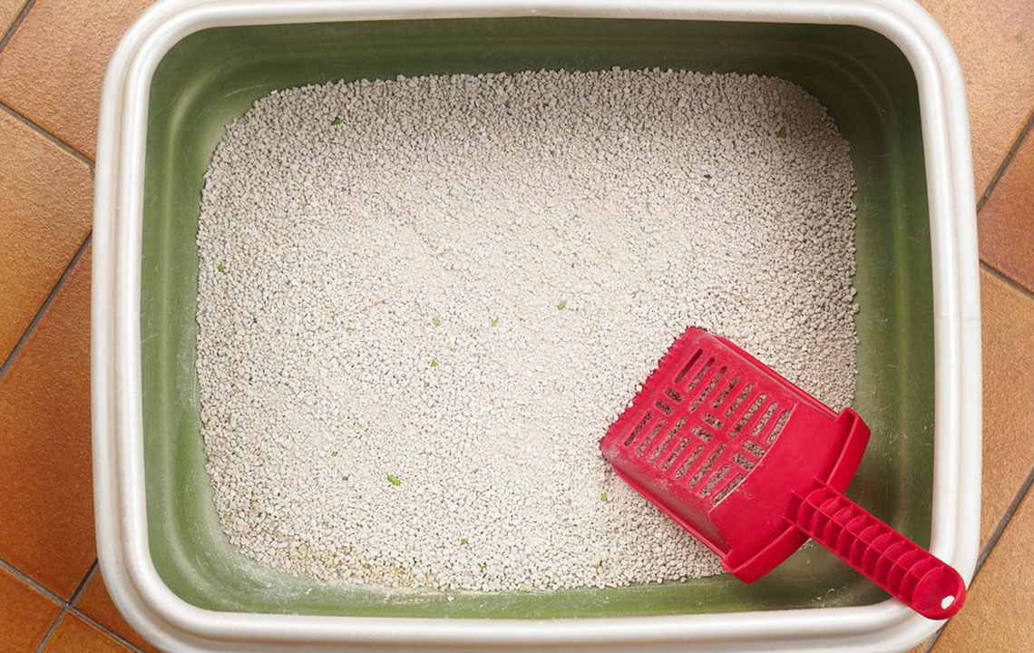 Top 5 Affordable and Efficient Cat Litter Boxes for Pet Owners