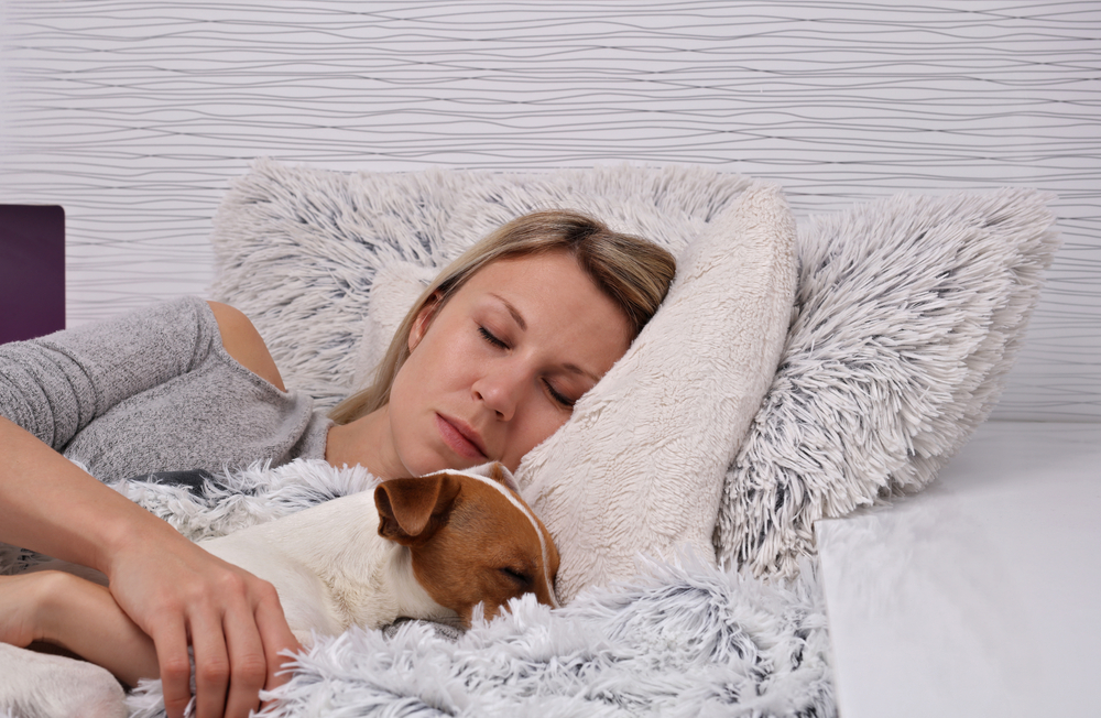 Top Strategies to Manage Dog Allergy Symptoms