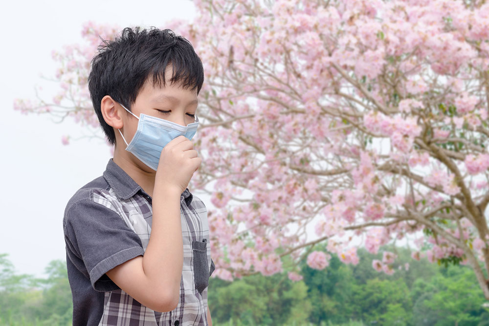 Understanding Pollen Allergy Symptoms and How to Manage Them