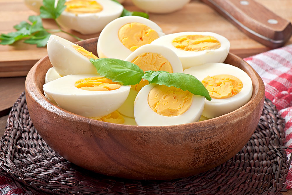 Safe Human Foods Suitable for Cats