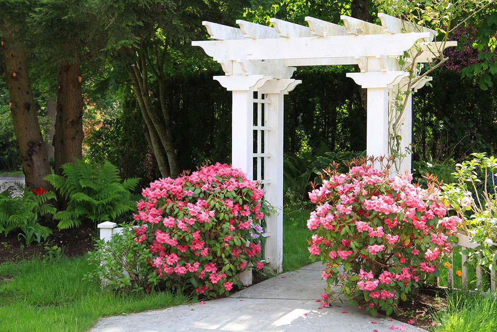Comprehensive Guide to Designing and Building an Enchanting Garden Arbor