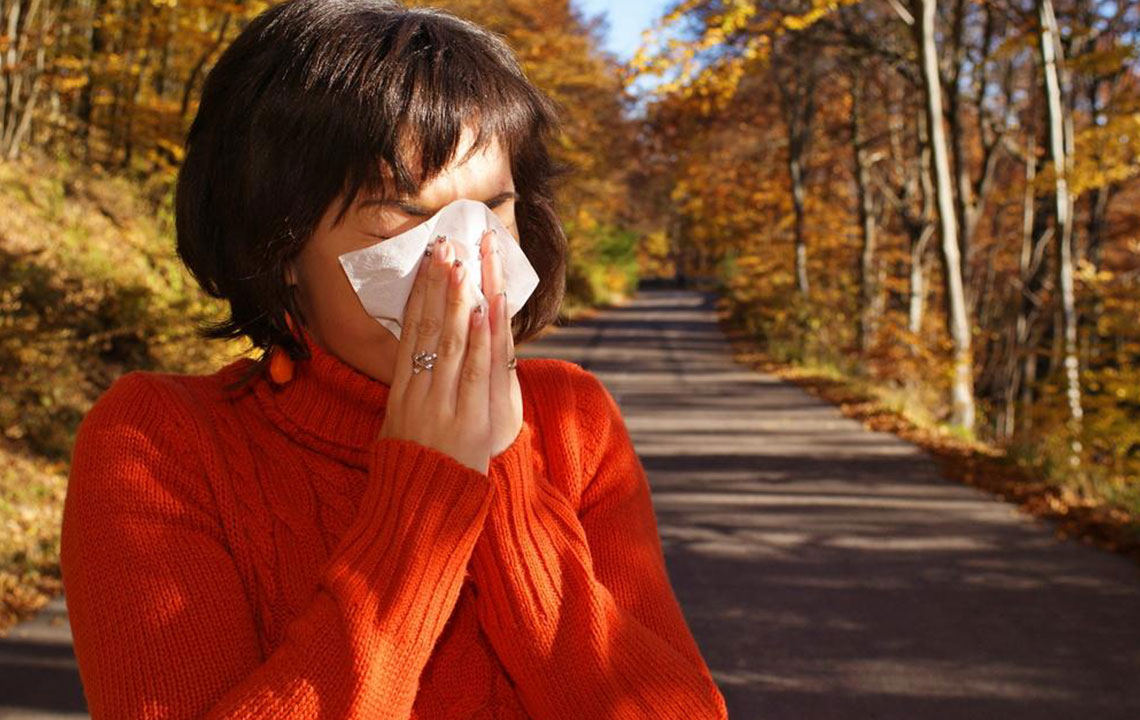 Understanding Mold Allergies: Causes, Symptoms, and Remedies