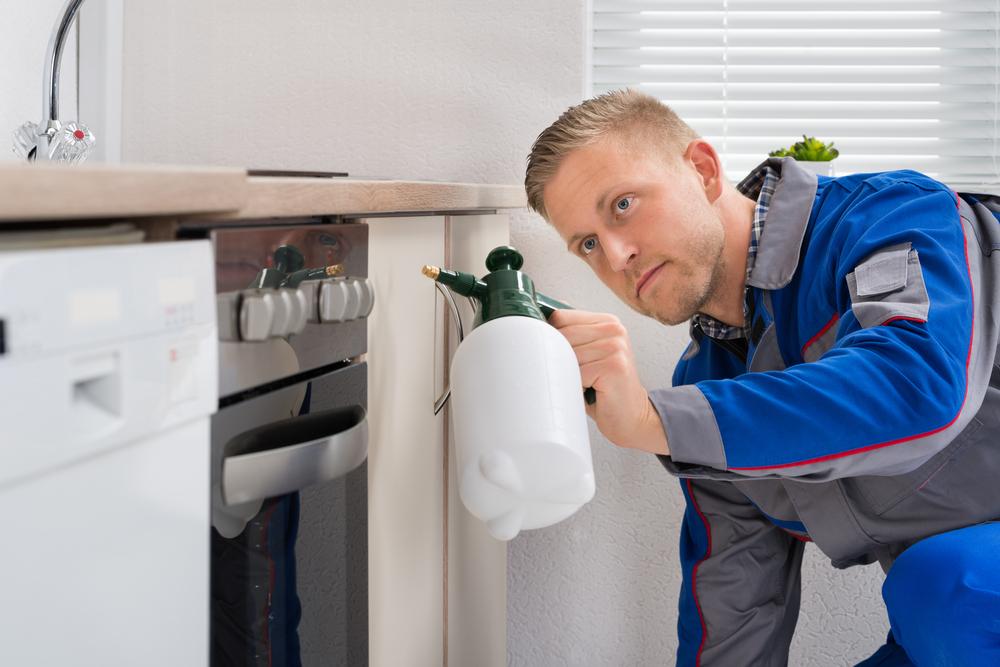 Effective Strategies to Eradicate Bed Bugs
