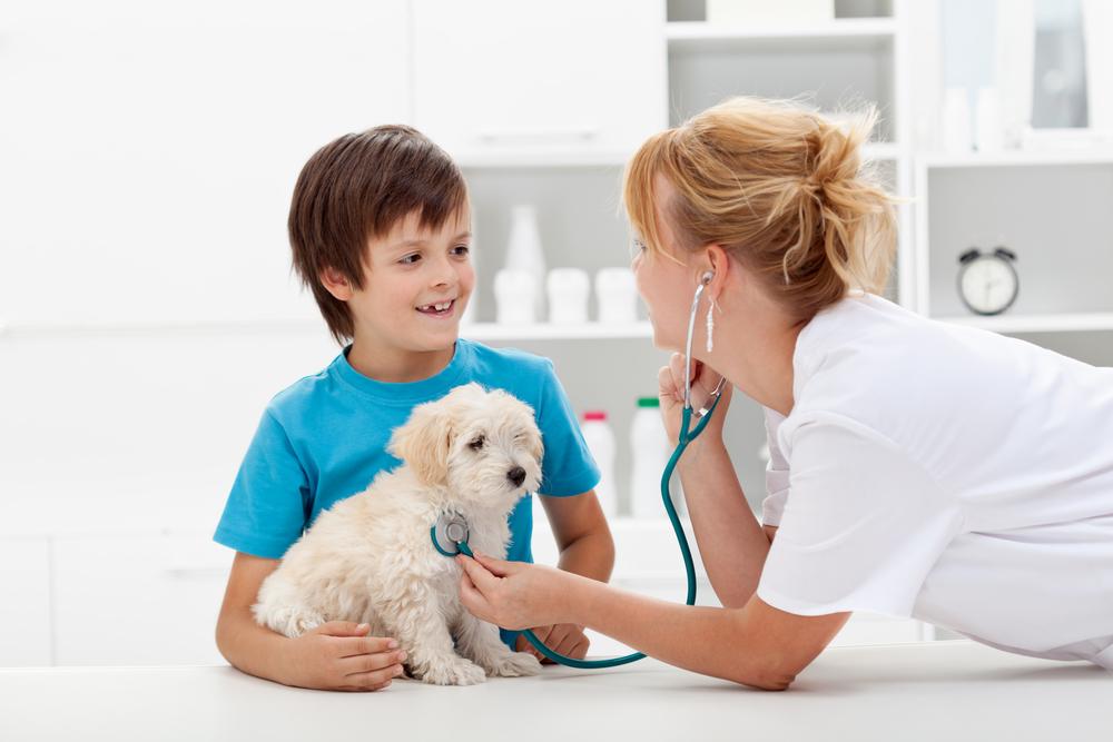 Protect Your Pets: Top Benefits of Pet Insurance